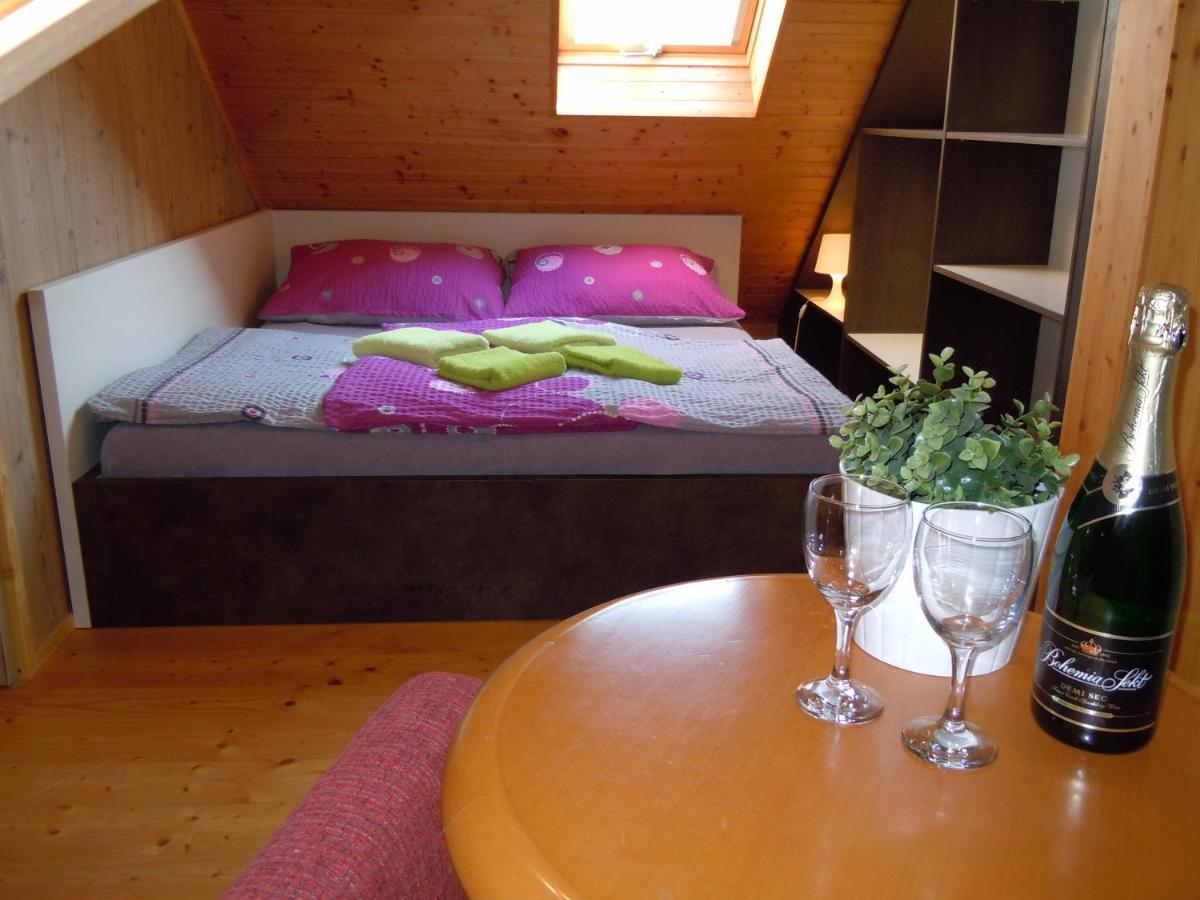 Apartment Wellness Vlckova ภายนอก รูปภาพ
