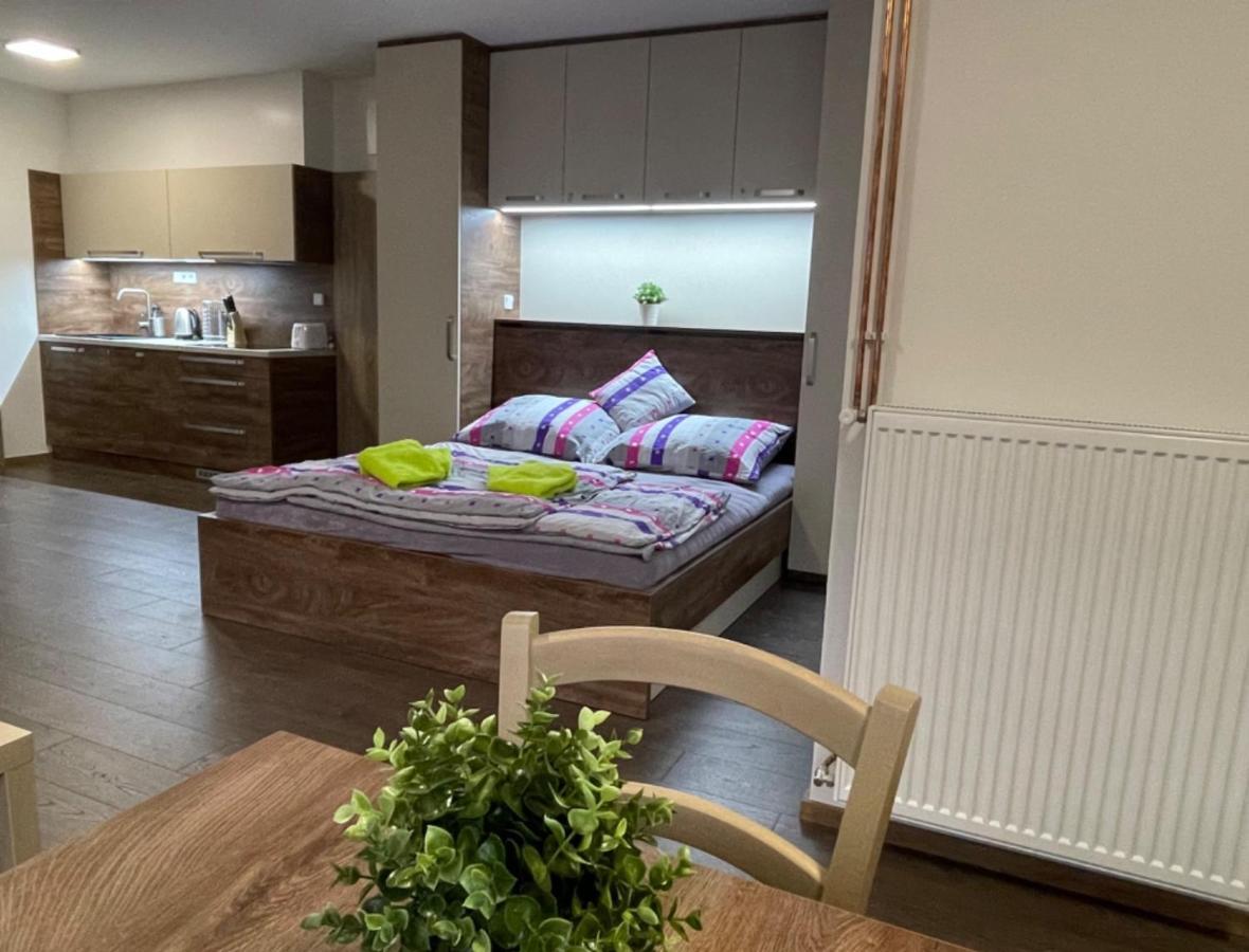 Apartment Wellness Vlckova ภายนอก รูปภาพ